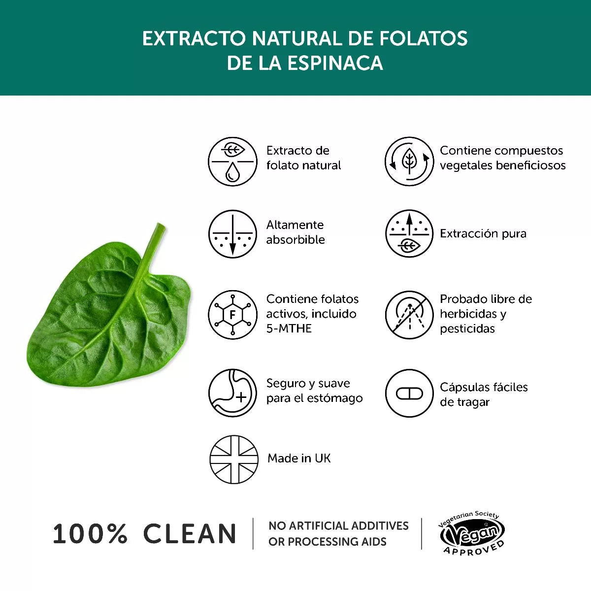 Folato en cápsulas Together Health