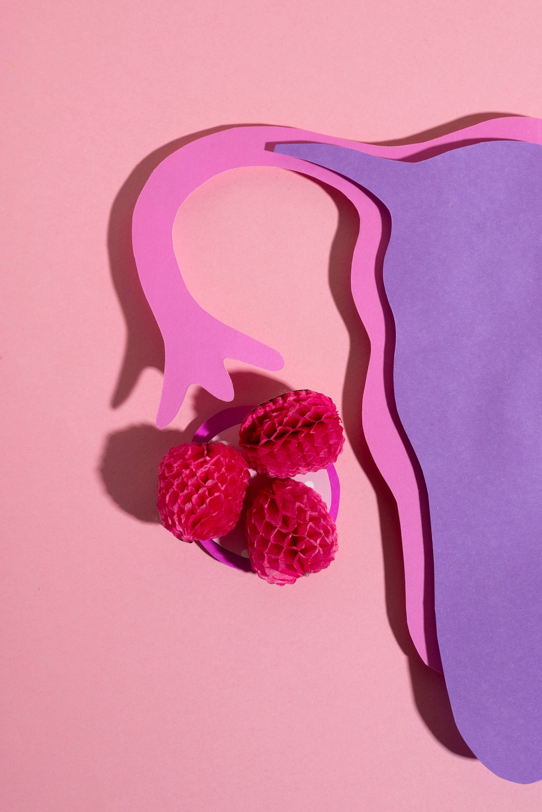 VitalFer: ¿Por qué incluirlo es clave para la salud hormonal de la mujer?