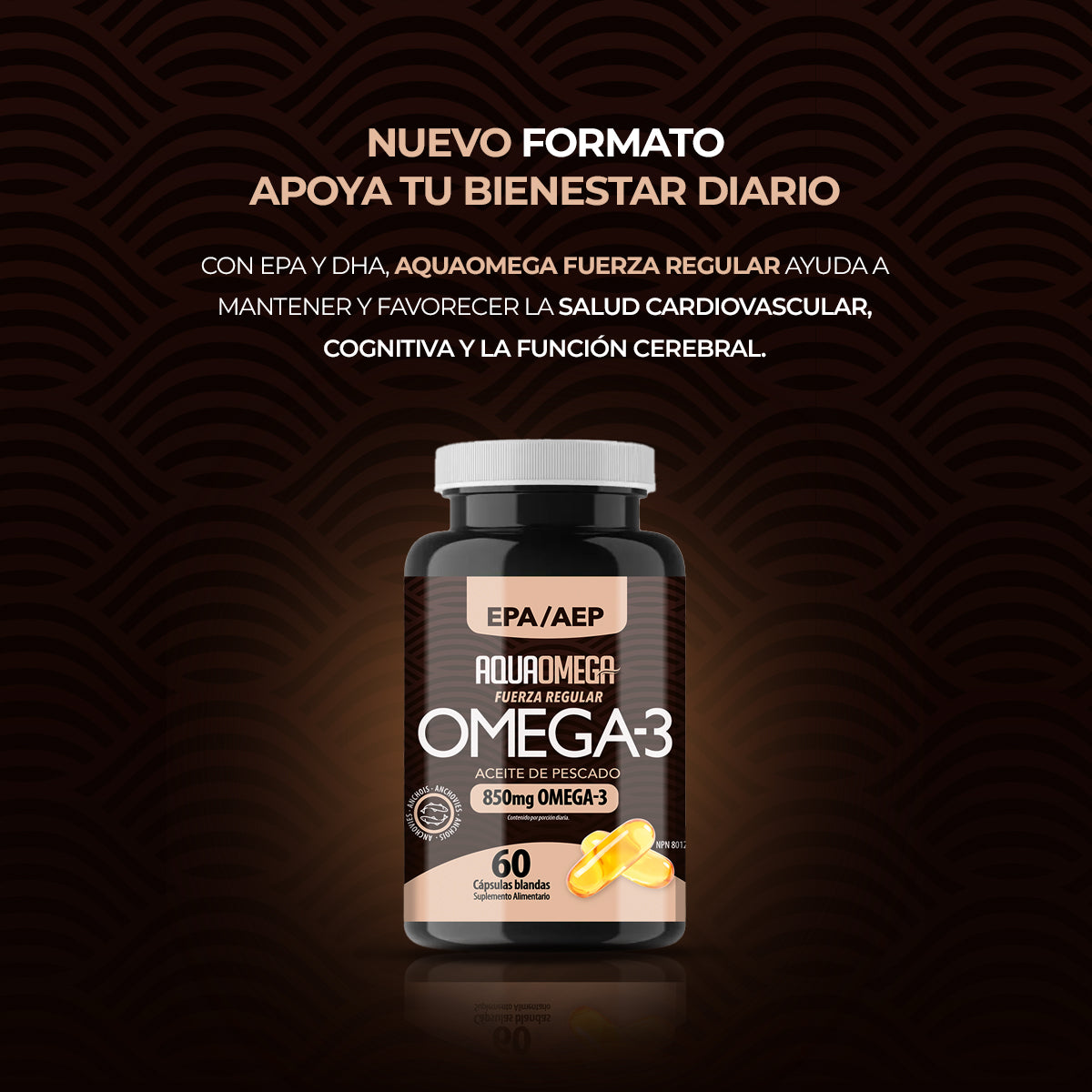 AquaOmega Regular Strength Omega-3 Premium 60 Cápsulas Blandas | EPA + DHA de Alta Pureza