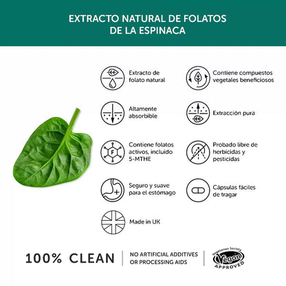 Folato en cápsulas Together Health