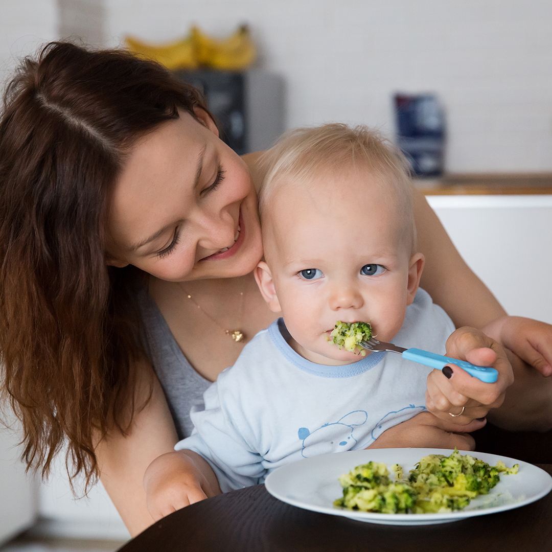 dosis alimentación